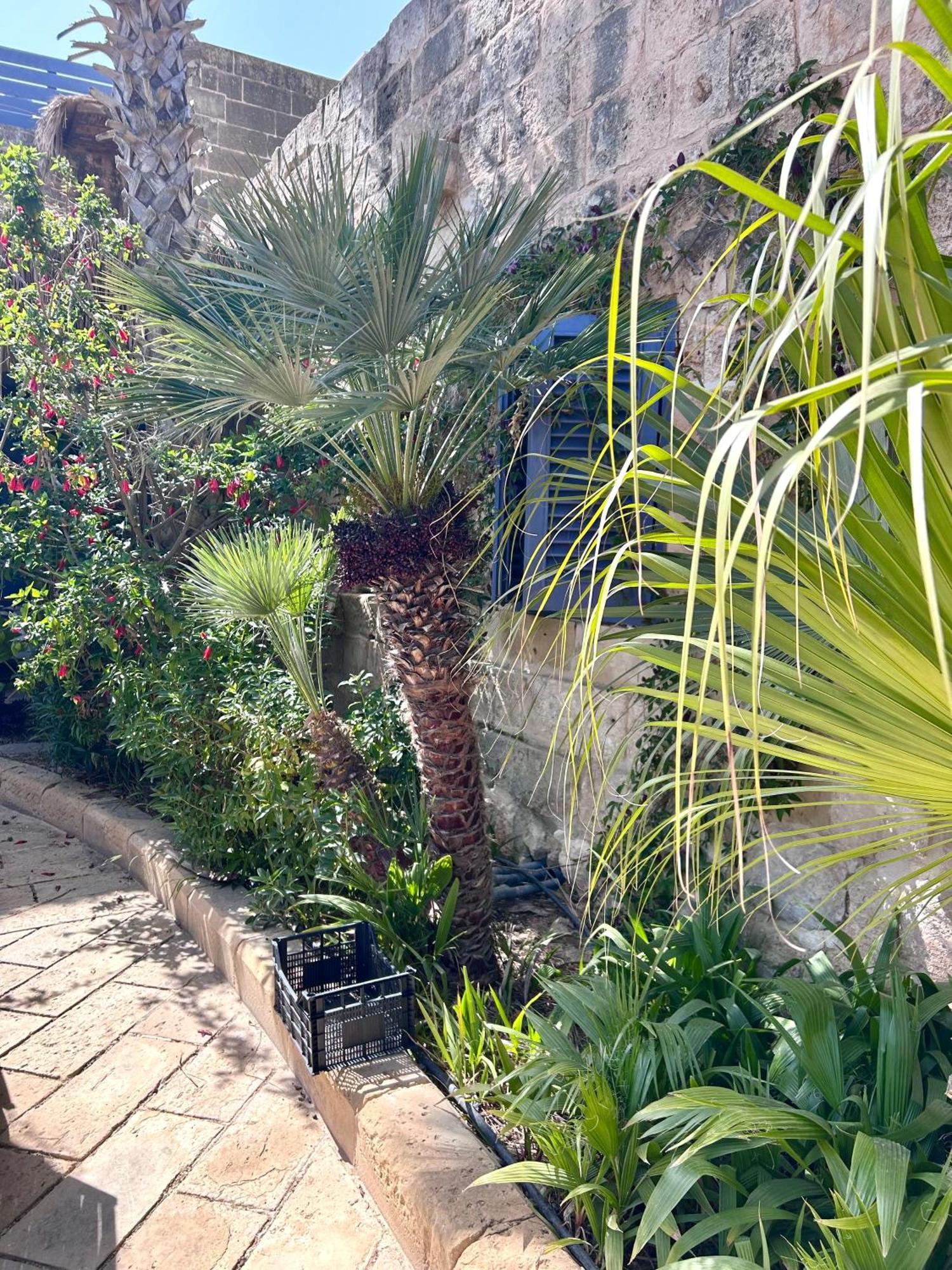 Ta Skorba Farmhouse Mgarr L-Imgarr Exteriér fotografie